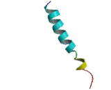 Oxoeicosanoid Receptor 1 (OXER1)