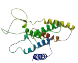 Oxoglutarate Receptor 1 (OXGR1)