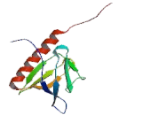 Oxysterol Binding Protein Like Protein 10 (OSBPL10)