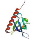 Oxysterol Binding Protein Like Protein 11 (OSBPL11)