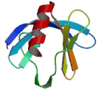 Oxysterol Binding Protein Like Protein 3 (OSBPL3)