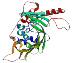 Oxysterol Binding Protein Like Protein 6 (OSBPL6)