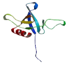 Oxysterol Binding Protein Like Protein 7 (OSBPL7)