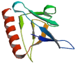 Oxysterol Binding Protein Like Protein 9 (OSBPL9)