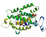 Oculocutaneous Albinism II (OCA2)