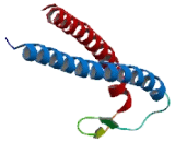 p53 And DNA Damage Regulated Protein 1 (PDRG1)