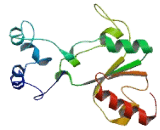 PCI Domain Containing Protein 2 (PCID2)