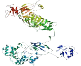 PDS5, Regulator Of Cohesion Maintenance Homolog A (PDS5A)