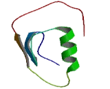 PDZ Domain Containing Protein 9 (PDZD9)