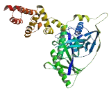 Glutamyl tRNA Amidotransferase Subunit B (GATB)