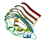 PH Domain And Leucine Rich Repeat Protein Phosphatase 2 (PHLPP2)