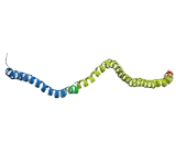 PHD Finger Protein 11 (PHF11)