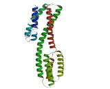 PHD Finger Protein 20 Like Protein 1 (PHF20L1)