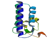 PHD Finger Protein 3 (PHF3)