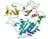 PIF1 5'-To-3' DNA Helicase Homolog (PIF1)