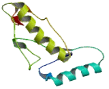 PIH1 Domain Containing Protein 1 (PIH1D1)