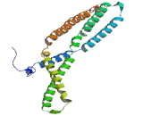 PIN2 Interacting Protein 1 (PINX1)