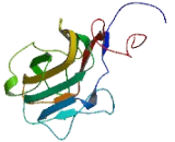 PITH Domain Containing Protein 1 (PITHD1)