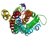 POC5 Centriolar Protein Homolog (POC5)