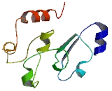 POM121 Membrane Glycoprotein Like Protein 12 (POM121L12)