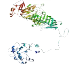 POM121 Membrane Glycoprotein Like Proteim 2 (POM121L2)