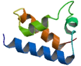 POU Domain Class 4 Transcription Factor 1 (POU4F1)