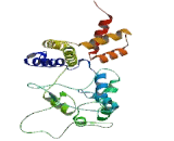 POU Domain Class 4 Transcription Factor 2 (POU4F2)