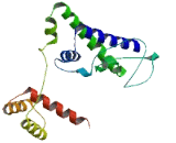 POU Domain Class 6 Transcription Factor 2 (POU6F2)