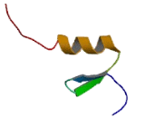 POZ And AT Hook Containing Zinc Finger Protein 1 (PATZ1)