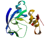 PQ Loop Repeat Containing Protein 1 (PQLC1)