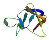 PR Domain Containing Protein 11 (PRDM11)