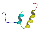 PR Domain Containing Protein 13 (PRDM13)