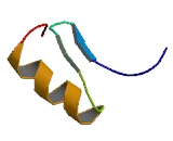 PR Domain Containing Protein 15 (PRDM15)