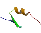 PR Domain Containing Protein 5 (PRDM5)