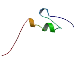 PR Domain Containing Protein 6 (PRDM6)