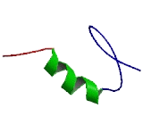 PR Domain Containing Protein 7 (PRDM7)