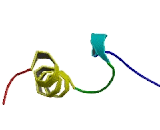 PR Domain Containing Protein 9 (PRDM9)