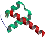 PROP Paired Like Homeobox Protein 1 (PROP1)