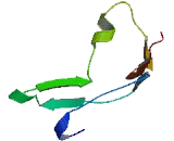 PTPN13 Like Protein, Y-Linked (PRY)