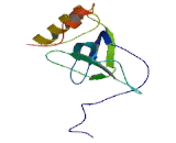 PWWP Domain Containing Protein 2B (PWWP2B)