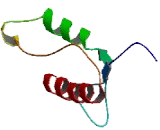 PX Domain Containing Serine/Threonine Kinase (PXK)