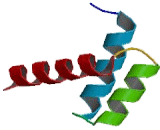 Paired Like Homeobox Protein 2B (PHOX2B)