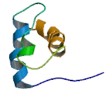 Paired Like Homeodomain Transcription Factor 3 (PITX3)