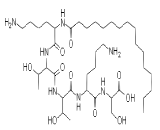 Palmitoyl Pentapeptide 3 (PP3)