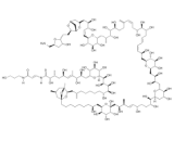 Palytoxin (PTX)