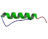 Pancreatic Polypeptide (PP)