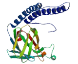 Pancreatic Polypeptide 2 (PPY2)