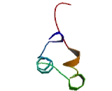 Pancreatic Progenitor Cell Differentiation And Proliferation Factor Like Protein (PPDPFL)