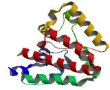 Parahox Cluster Neighbor (PRHOXNB)