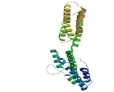 Paraneoplastic Antigen Like Protein 6B (PNMA6B)